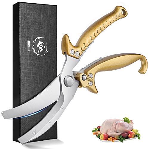 Lb`{͂ ϋv \Lb`͂ sȐHi͂ ړI͂ {  ʕ؂