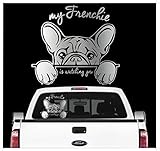 konturgeschnittener Aufkleber mit lustigem Hundemotiv so weiß jeder welcher Hund also natürlich ein french Bulldog bei dir on Board ist