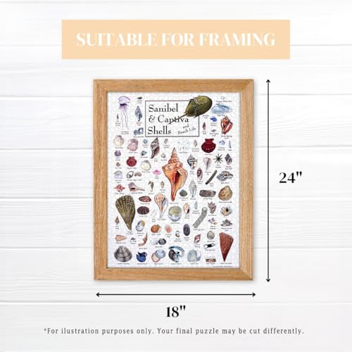 Heritage Puzzle Shells of Sanibel & Captiva 550 Piezas | Rompecabezas de 550 piezas para adultos, arte de pared de naturaleza costera, rompecabezas encuadrables 24" x 18" tamaño final miniatura 4