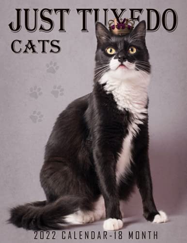 Just Tuxedo Cats Calendar 2022: 2022-2023 Calendar Animals- Animal Wildlife Calendar - Cute animal photos for animal lover gifts for kids