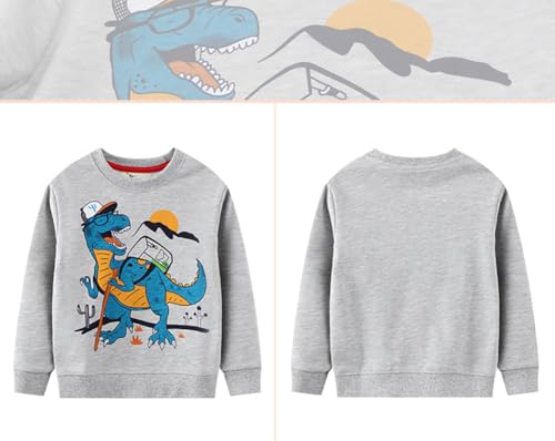 Boys Sweatshirts Casual Sweatshirts Cotton Sweatshirts Long Sleeve T-shirts Crew Neck Cartoon Tops for Boys-7574