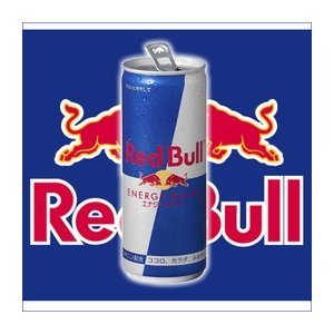 �y�܂Ƃߔ����z ���b�h�u���iRedBull�j �G�i�W�[�h�����N �� 250ml×24�{�i1�P�[�X�j