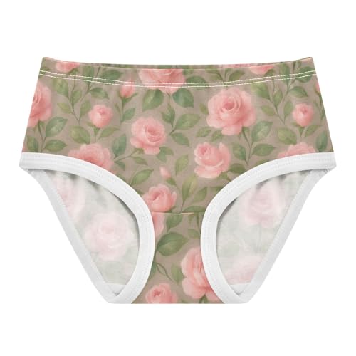 Joisal Vintage Pink Roses Little Girl Panties Girls Underwear Toddler Cotton Funny Briefs Kids Undies 2t
