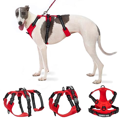 Arnes Perro Mediano, Arnés para Perro Sin Tirón, Arnés para Perro de Servicio con 2 Parches, Reflectante, con Asa, Duradero, Chaleco Ajustable para Perros Medianos para Caminar y Entrenar (Rojo, M)