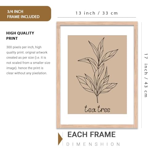 Image of HOTHOUSE Botanical Wall Art Painting |Poster With Frame Wall Decoration Wall Paintings For Home Decor | Frames For Home Decor Office Living Room | Set of 3 (13X17 inch)