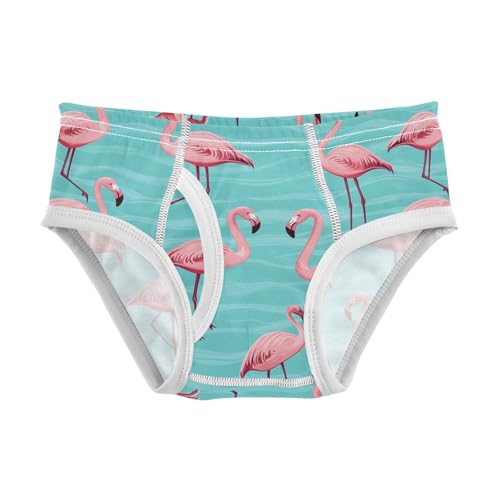 Wusikd Pink Flamingos Boys' Underwear Cotton Turquoise Boys Briefs Soft Toddler Underwear 2T