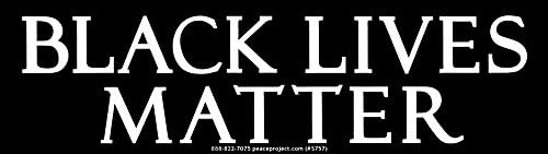Black Lives Matter Anti-Racism BLM Movement Large Bumper Sticker or Laptop Decal 10-by-3 Inches