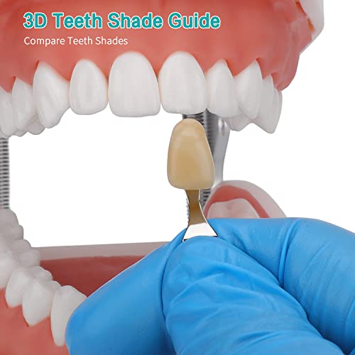 The 25 Best Dental Shade Guides of 2024 [Verified] Cherry Picks