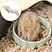 Leefasy Wooden Hamster Hideout Cave with Ladder Sturdy Irregular Shape for Small Pets Rodents Multipurpose 32x7x13cm Climbing Ramp