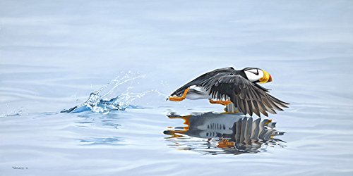 Art of the Animal 2012 B019BOGDVK Book Cover