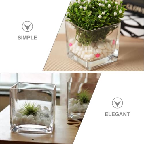 Vase transparent pour branches et succulentes décor de table moderne - 4