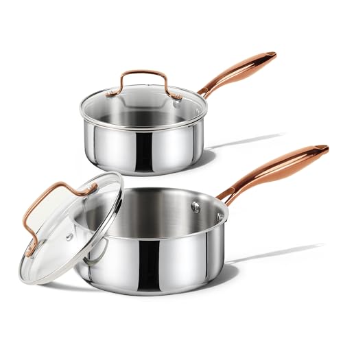 CAROTE Stainless Steel Saucepan Set with Lids