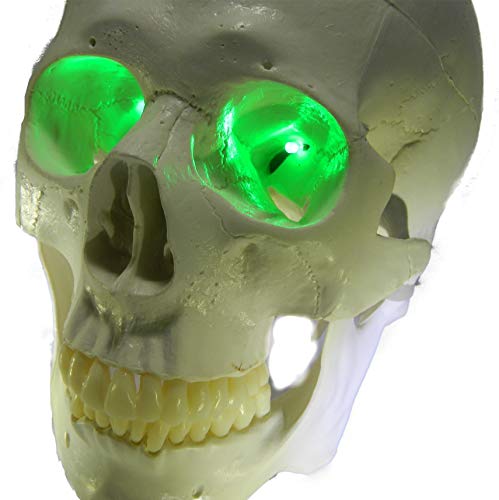Dead Head Props 24 Inch, Battery Operated, Green Led Eyes For Masks, Skulls And Halloween Props #TOP4