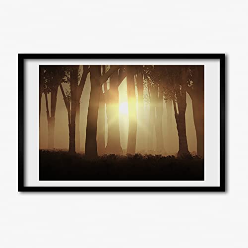 Tableau Brouillard Dans la Foret pour votre salon nature chic