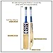 SS Cricket Legend 10 Premium English Willow Cricket bat - Limited Edition, Adult Size - Short Handle…