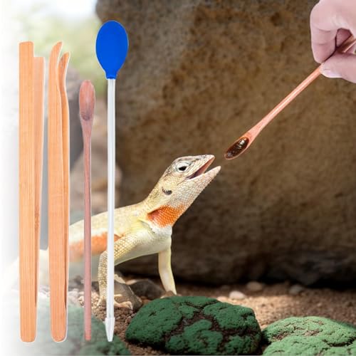 Réptil Feeding Tweezers, pinças de alimentação de répteis,Clanets de alimentação de cobras - Acessór