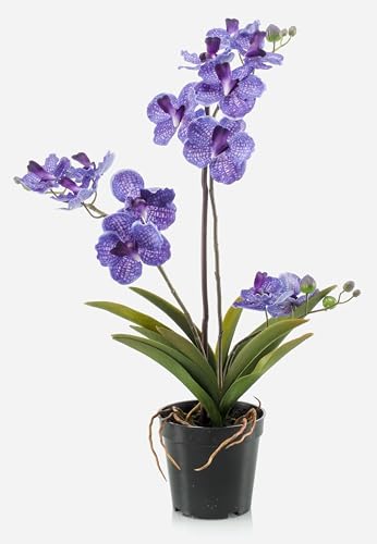 artplants.de Fleur Artificielle Orchidée Vanda Campo, Violet, 60cm - Fleur synthétique/Fausse orchidée