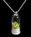 Live Lotus Succulent Glass Pendant Necklace Wearable Miniature Succulent Necklace Nature Terrarium Necklace