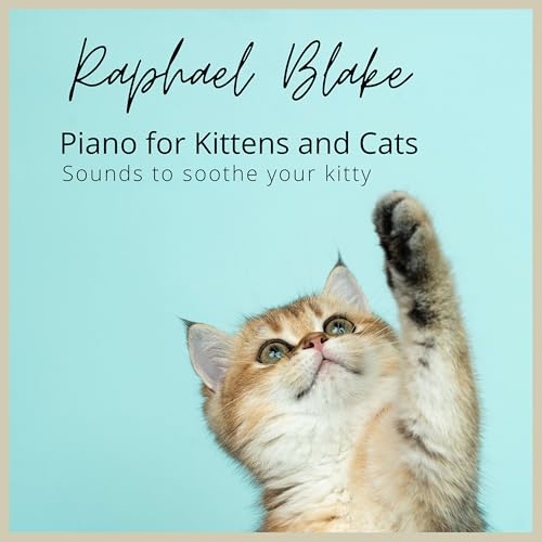 Rag Doll Kittens