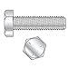 Tap Bolt 1/4-20x2 Gr 5 Zinc PK1200