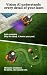 WORX Landroid Vision Cloud Cordless Robotic Lawn Mower with Brushes