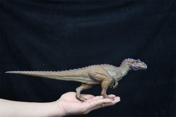 Amazon.co.jp: Rebor 135サイズ サウロファガナクス 異竜 アロサウルス 