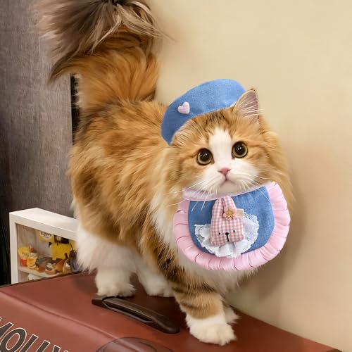 Béret de cowboy pour chat réglable pour éviter les chutes - 3