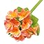 Pink+orange
