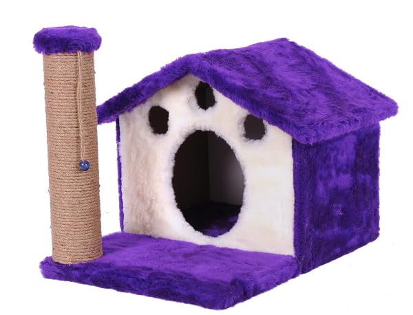 Mio Kedi Tırmalama, Home, Mor