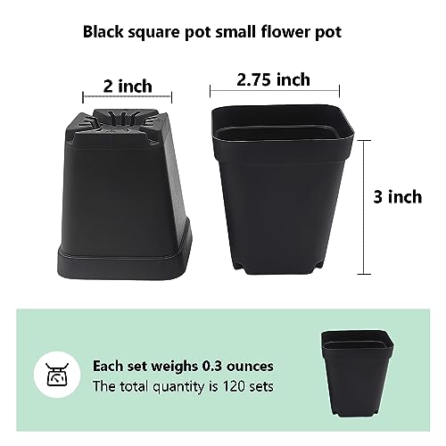 RooTrimmer Square Nursery Pots 3" 120Pcs Deep Succulent Plastic Pots Small Flower Planter Seeds Starter Germination Pots with Drainage (Black,2.7Inches,120Pcs) - Image 2