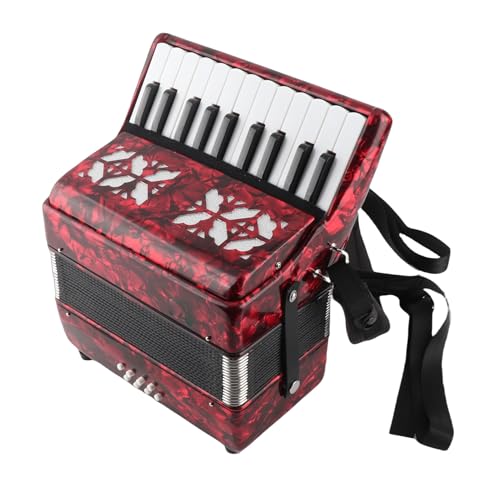 Fisarmonica IRIN a 8 bassi e 22 tasti, strumento musicale per bambini principianti. Adatta a bambini alti 110-140 cm o principianti.