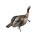 Avian-X HDR Jake Turkey Decoy | Rugged Durable Realistic Lifelike Quarter-Strut Body Standing Hunting Decoy with 2 Removable Heads, Mounting Stake & Carry Bag