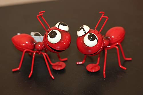 Holzwurm Rote Metall Ameisen Magnet Duo