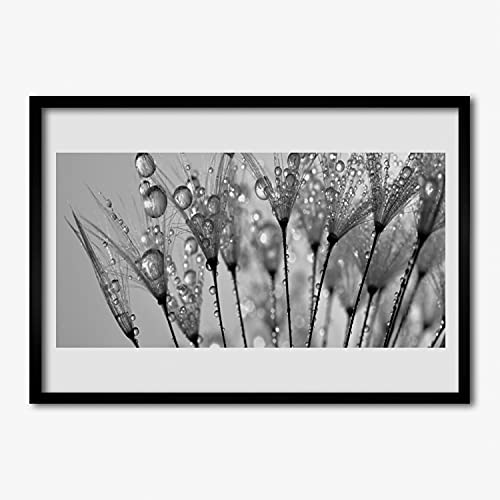 Affiche encadrée plante de pissenlit Tulup 70x50 cm pour salon