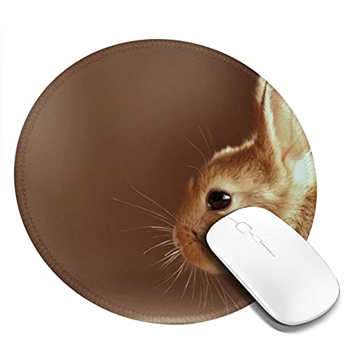 }EXpbh ی^  F  h ~ S Q[~O}EXpbh m[gp\R PC Eh}EXpbh fXN}bg ϋvǂ ItBXp rWlXp ƒp Q[p ~` 20cm