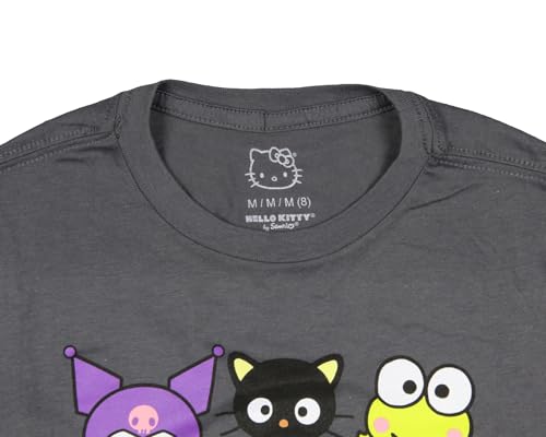 Sanrio Boy's Hello Kitty and Friends Character Kids Short Sleeve T-Shirt (Large) Grey3
