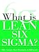 What is Lean Six Sigma (General Finance & Investing)