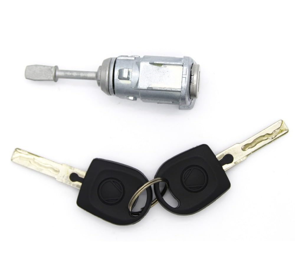 Cylindre DE Serrure DE Porte Gauche avec 2 CLÉS, for VW, for Passat, for Seat, Toledo Leon Arosa Lupo 3B0837167 Barillet de Serrure de Voiture