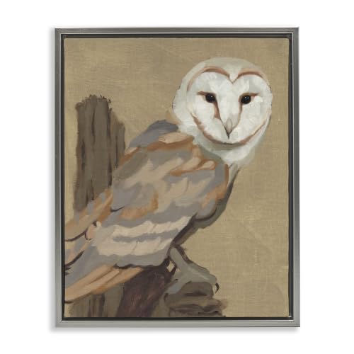 'Barn Owl Bird Perched Gazing Wildlife Animal'| Floating Frame Canvas Art