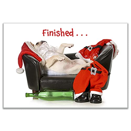 Allynn's 20 Funny Dog Christmas Cards (6''x4'') with Pug Passed Out after Drinking a Bottle of Wine, Themed Boxed Envelopes, 21 White Envelopes