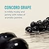 Liquid I.V.® Hydration Multiplier - Concord Grape | Electrolyte Powder Drink Mix | 1 Pack (16 Servings) #2