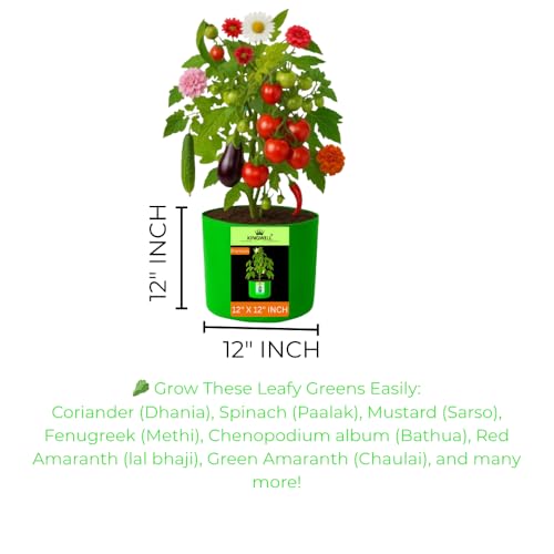 Image of Kingwell Plant Grow Bags 12x12 inch pack of 7, Bags for Plants Gardening Home, Grow Bags for Terrace Gardening