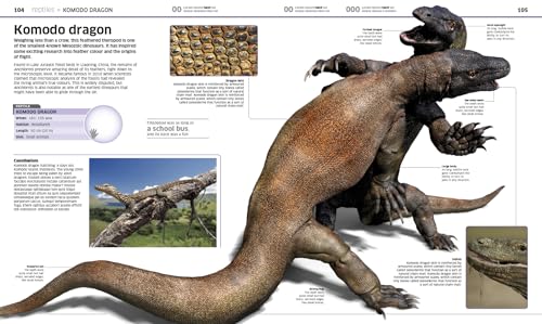 Animal! (DK Knowledge Encyclopedias) - Image 2