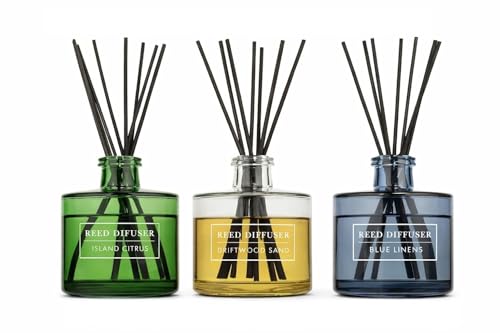 Bellevue Reed Diffuser Set (3x6 fl oz)