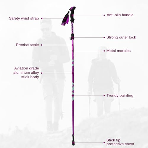 Walking Poles, 2 PCS Collapsible Hiking Poles, Foldable Trekking Poles110-125CM Adjustable,Telescopic, Ultralight Trekking Poles For Women Men Senior Backpacking, Hiking, Camping (Purple) - Image 3