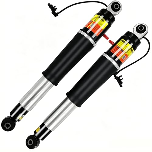 LUFT MEISTER 84176675 Rear Air Shock Pack