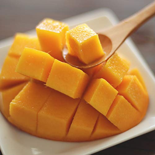 �󂠂�A�b�v���}���S�[ �ƒ�p 2kg �Z�� ���n�A�b�v���}���S�[ ���ꌧ�Y