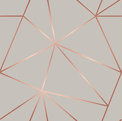 Papel De Parede Zara Fendi Rose Gold