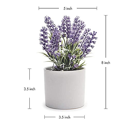 Kurrajong Farmhouse Large Fake Lavender Plant | Artificial Lavender Plant | Faux Lavender Plant (Small White Ceramic Pot, Plain White Matte Ceramic Pot 3" Wide) #TOP1