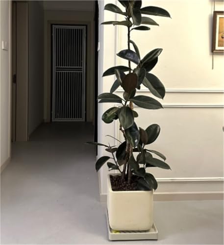 Support à roulettes pour plantes robuste blanc de 34 cm au design minimaliste et durable - 6
